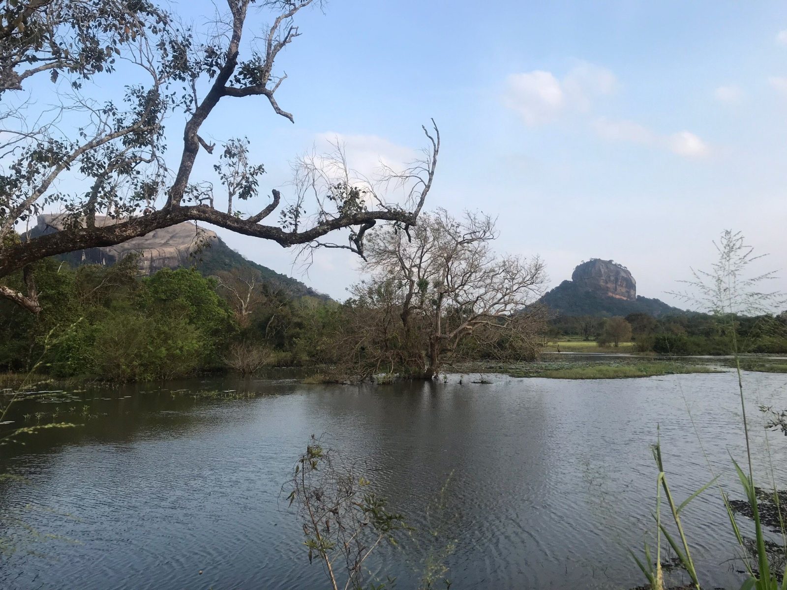 Venus Paradise Sigiriya