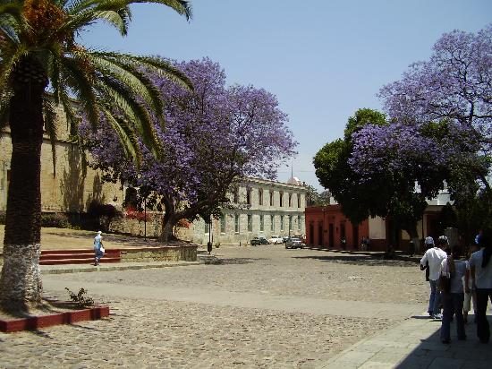 Villa Maria