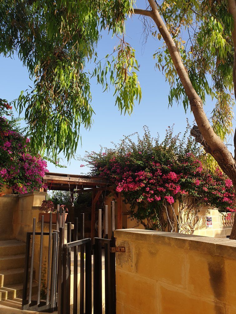 Satori Gozo Centre