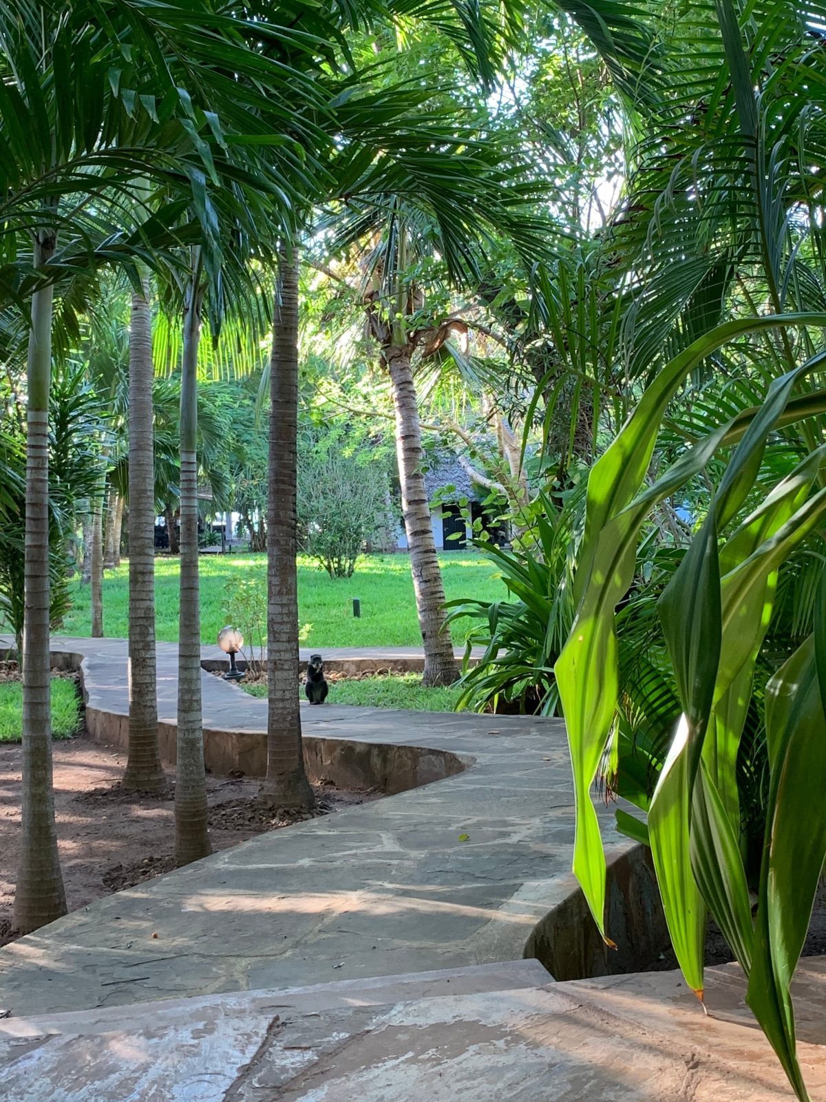 Diani Beach Club