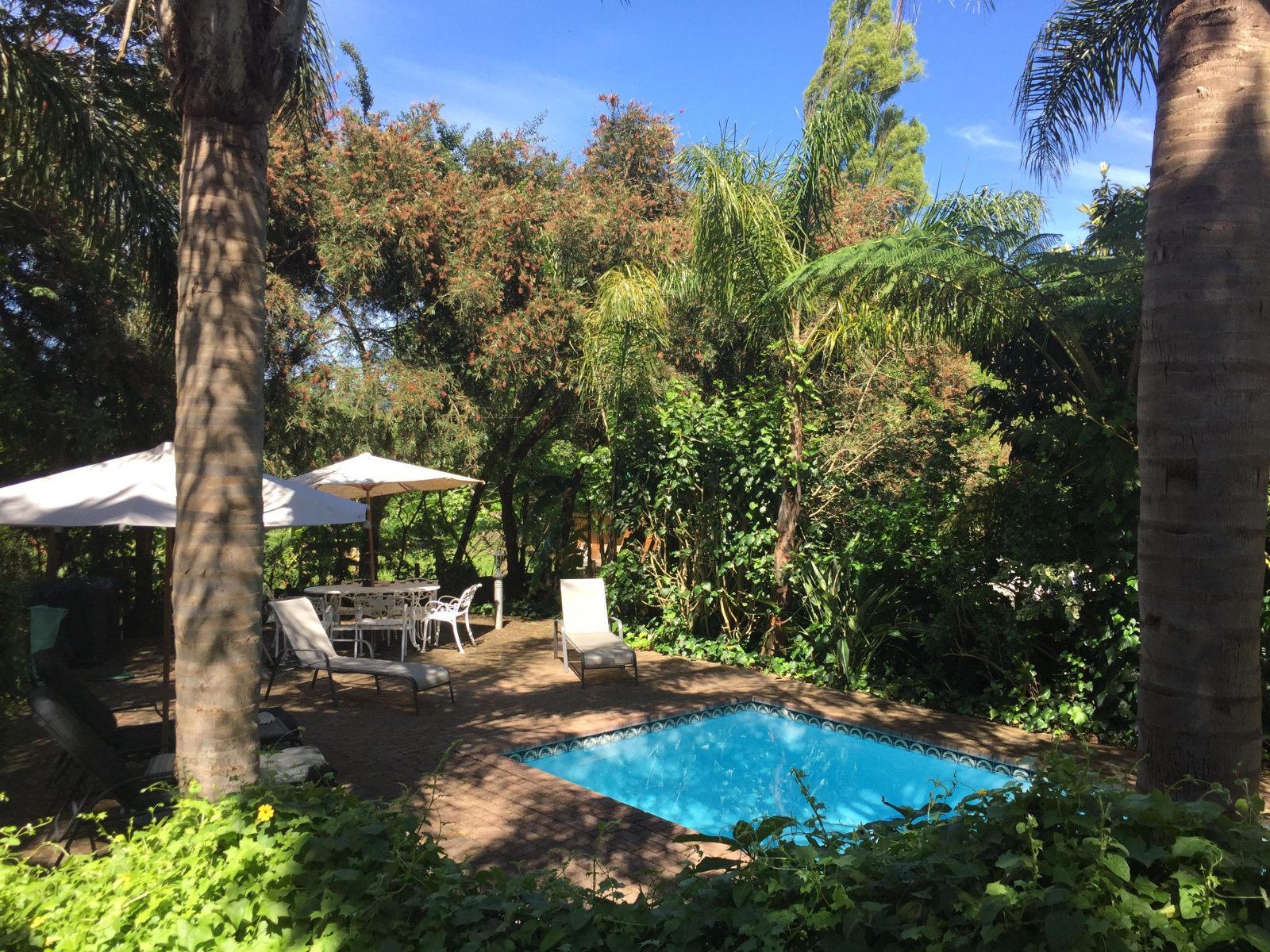 Knysna Herons Guest House