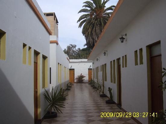 Techis House Hostal