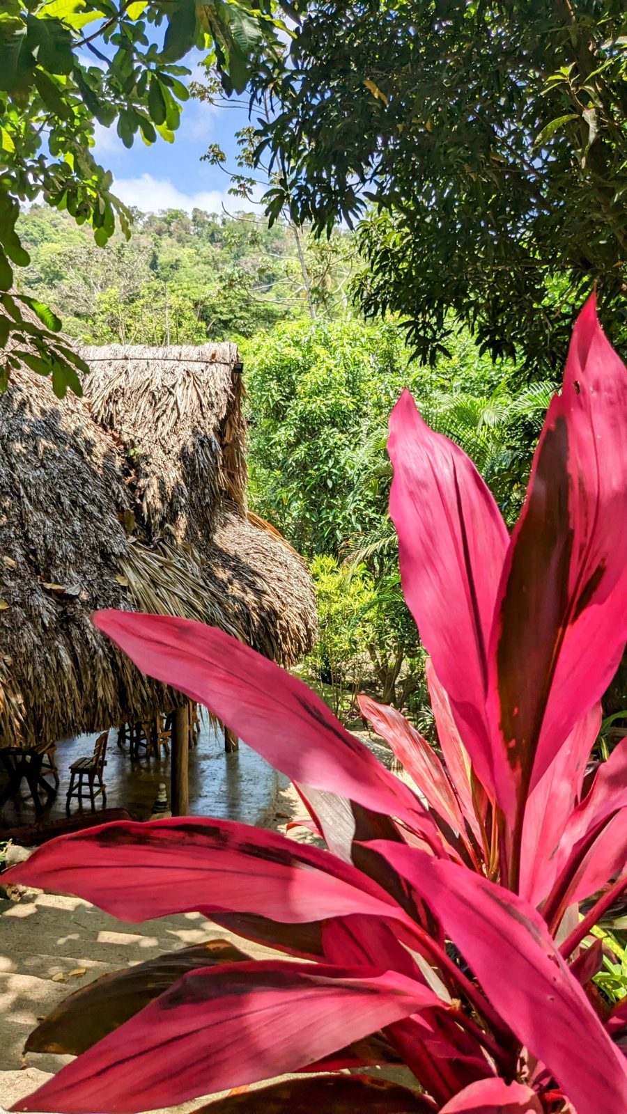 Mama Tayrona Hostel