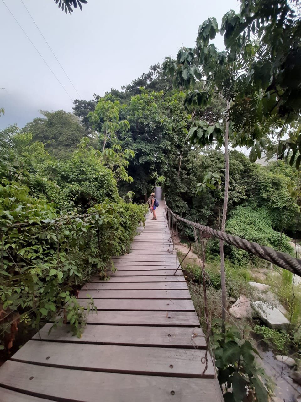Mama Tayrona Hostel
