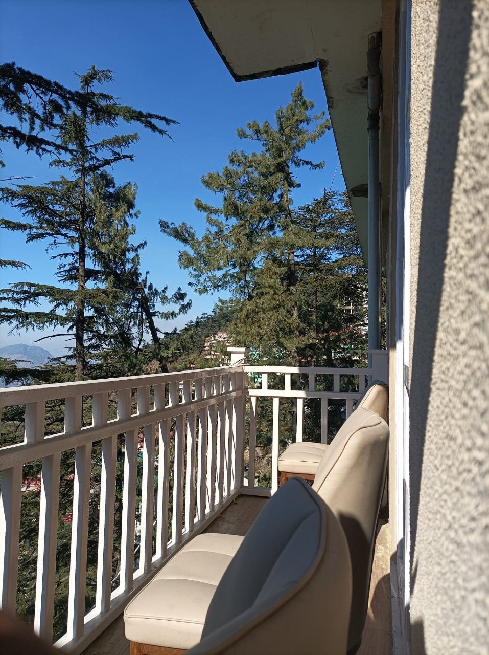 Holiday In Homestay Shimla