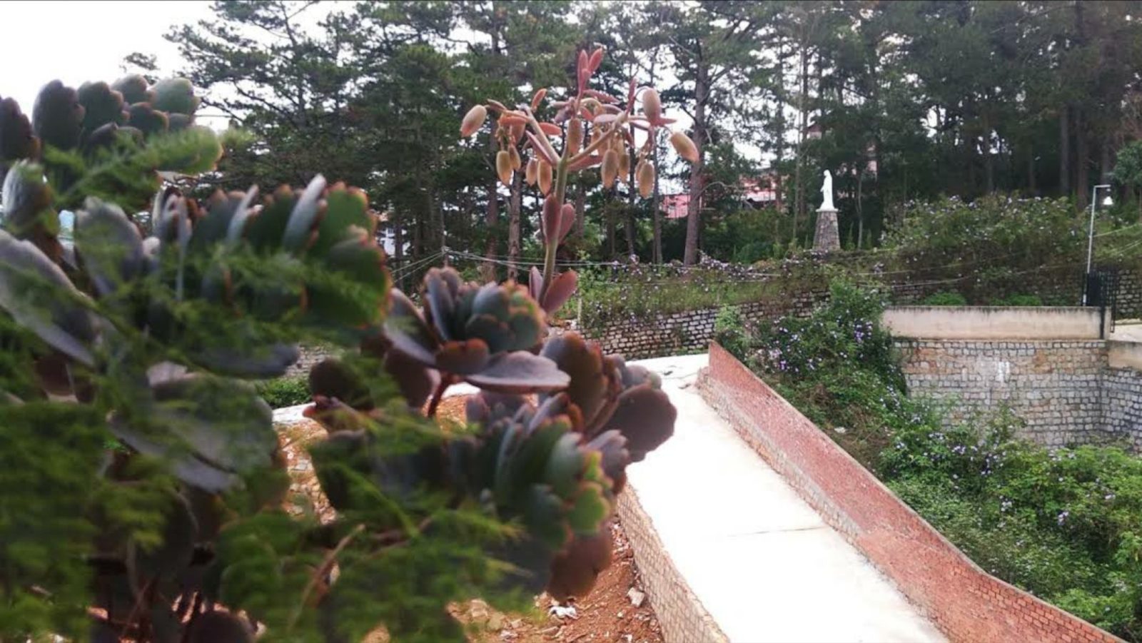 Strawberry Hotel Dalat