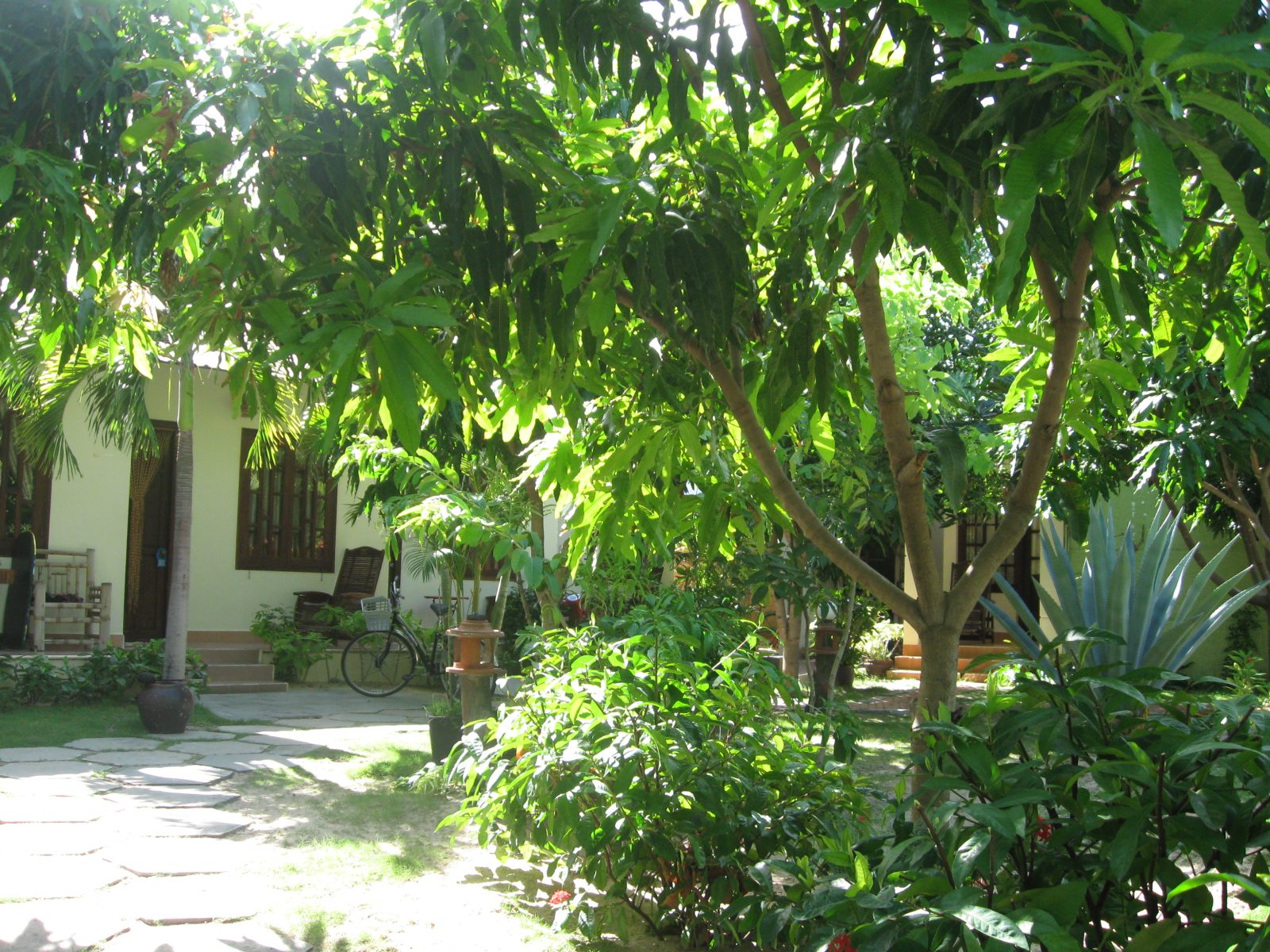 Dragon Fly Guest House