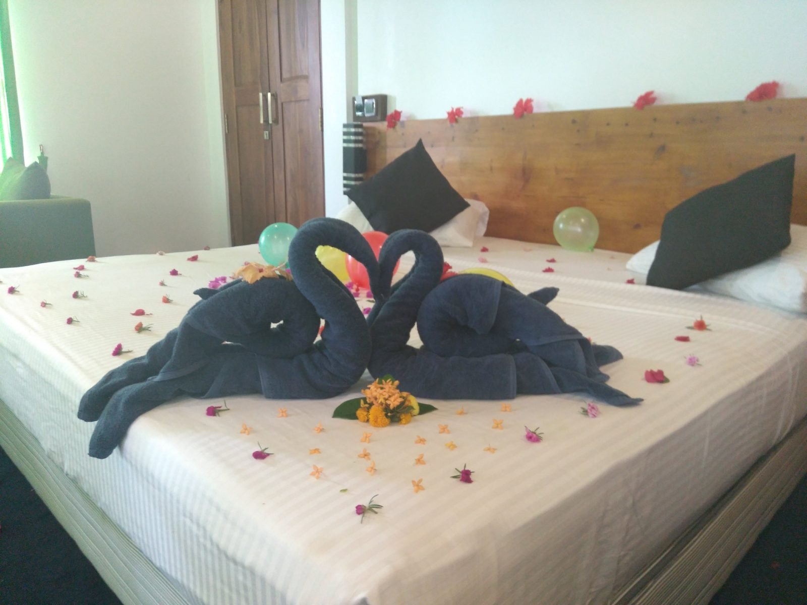 nice place bungalows hotel dambulla
