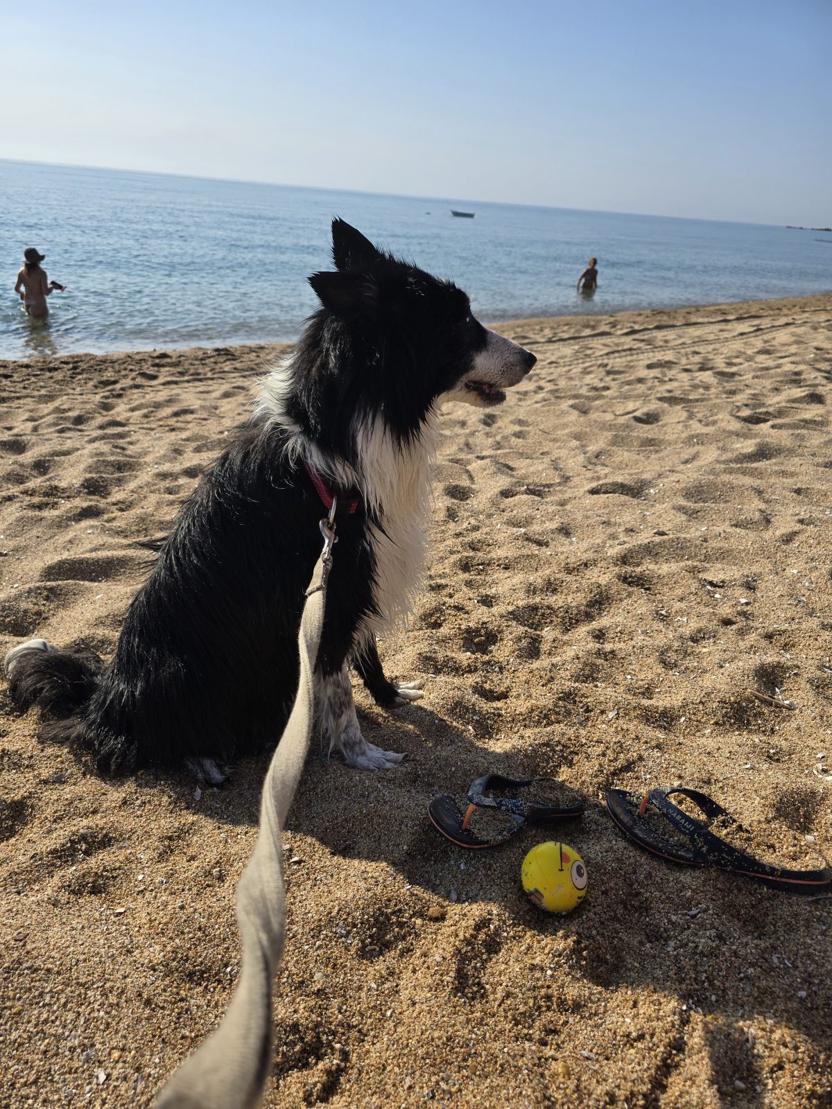 Camping Torre di Bari Sardo