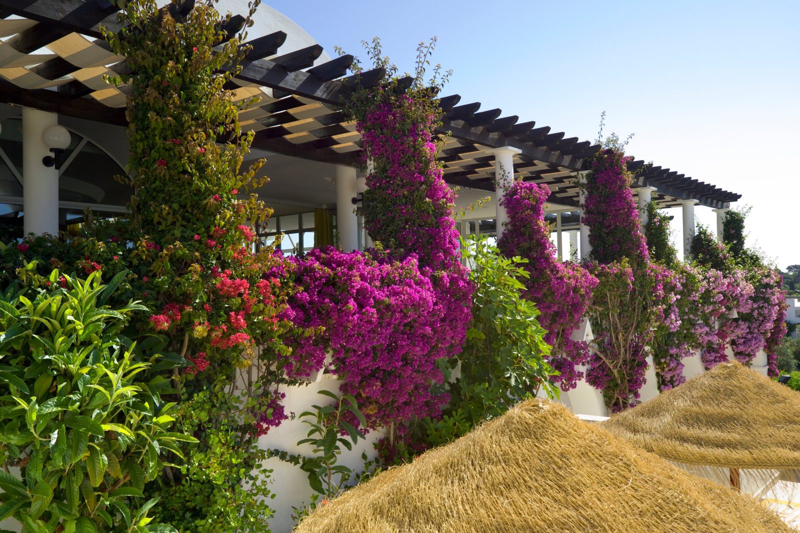 Hapimag Resort Albufeira