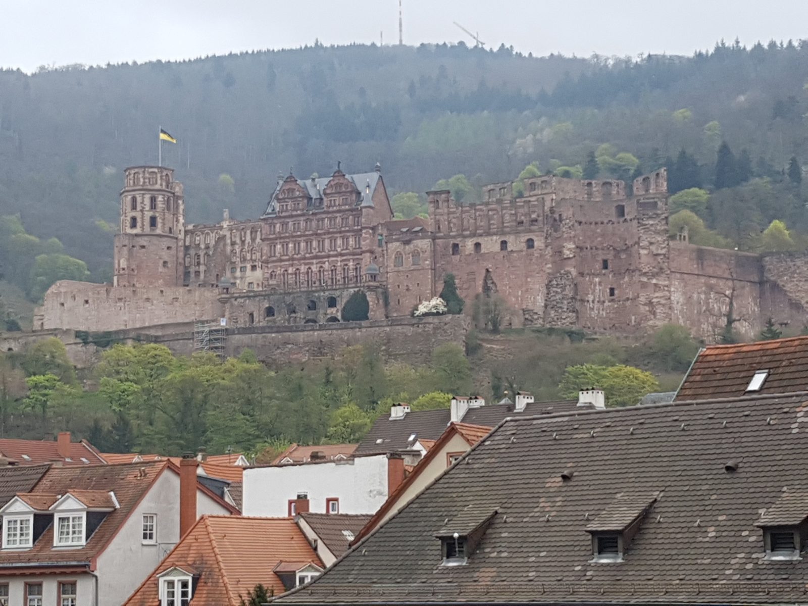 vier jahreszeiten hotel