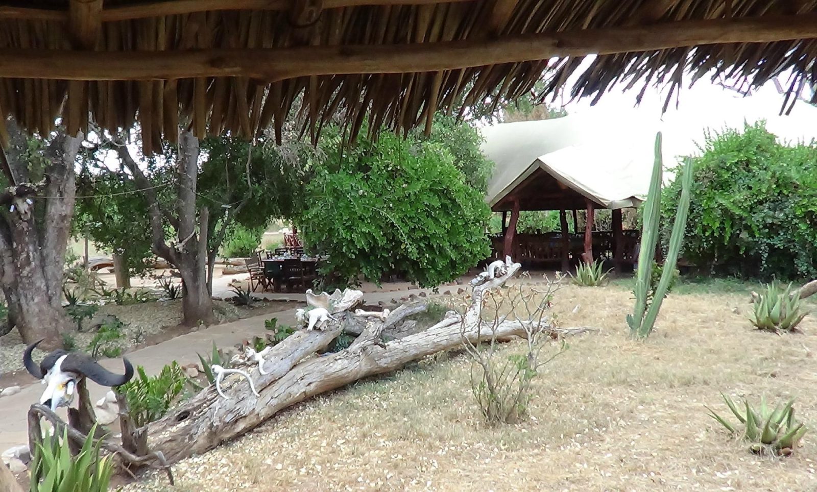 Ndololo Camp