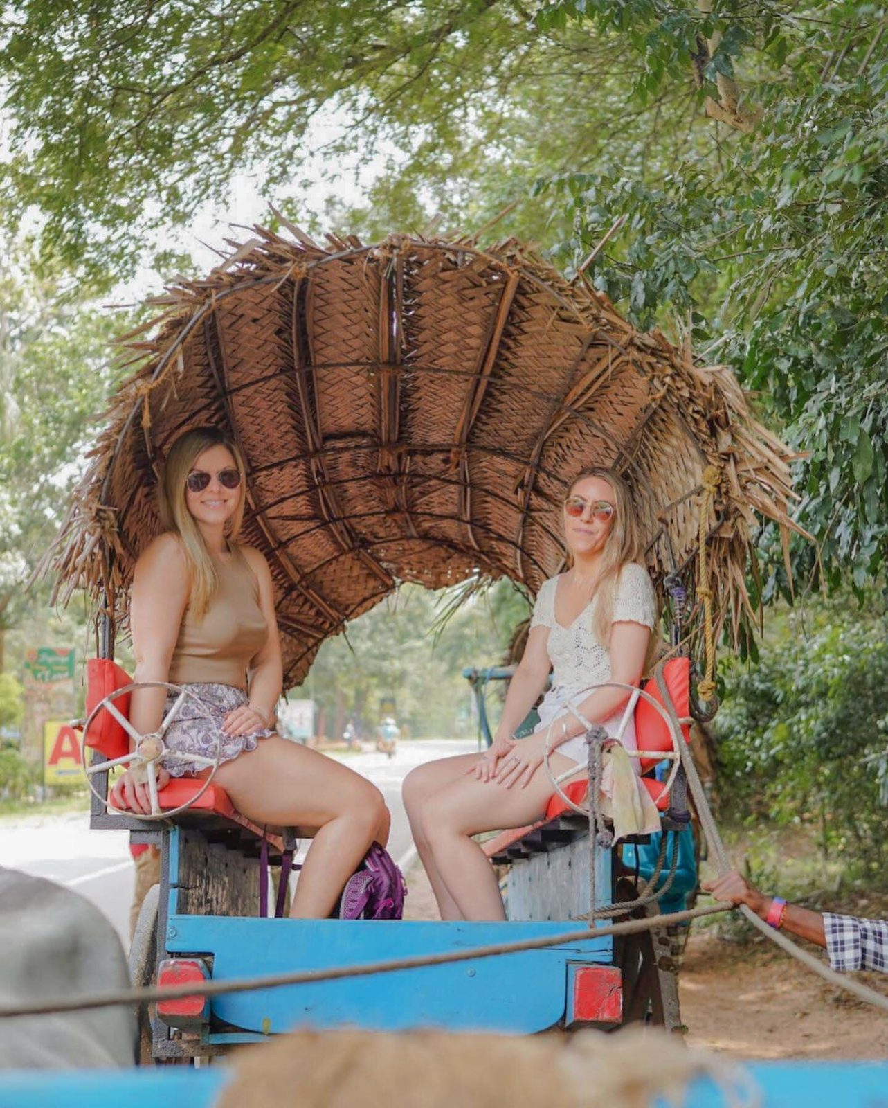 Sigiriya Kingdom Resort & Spa - Dambulla