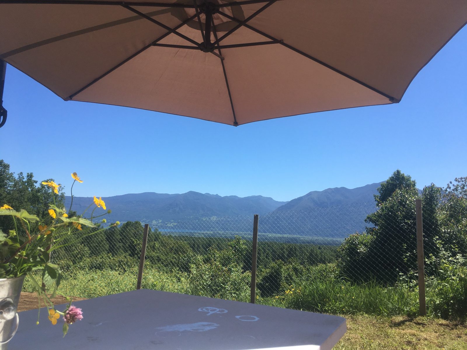 Cabanas Vistas Pucon