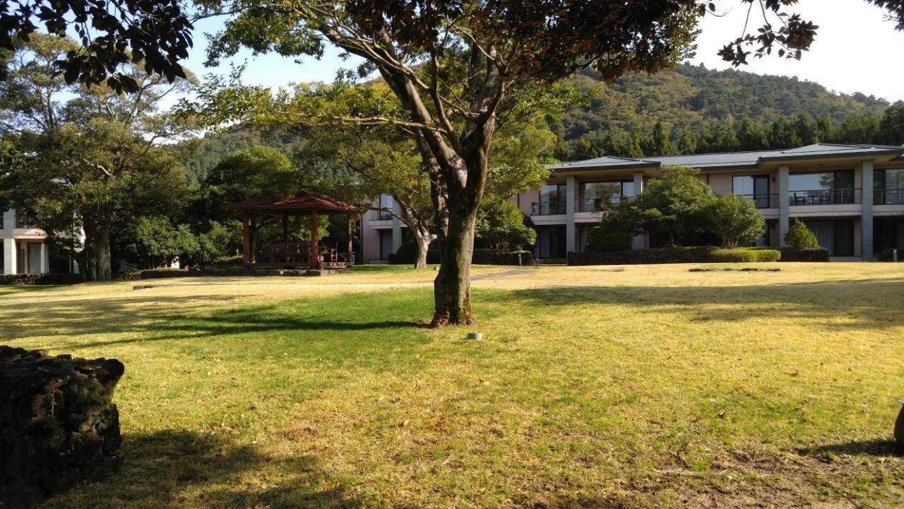 Elysian Jeju