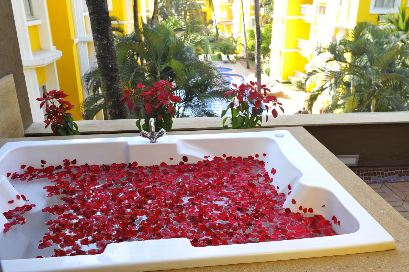 adamo the bellus goa hotel calangute