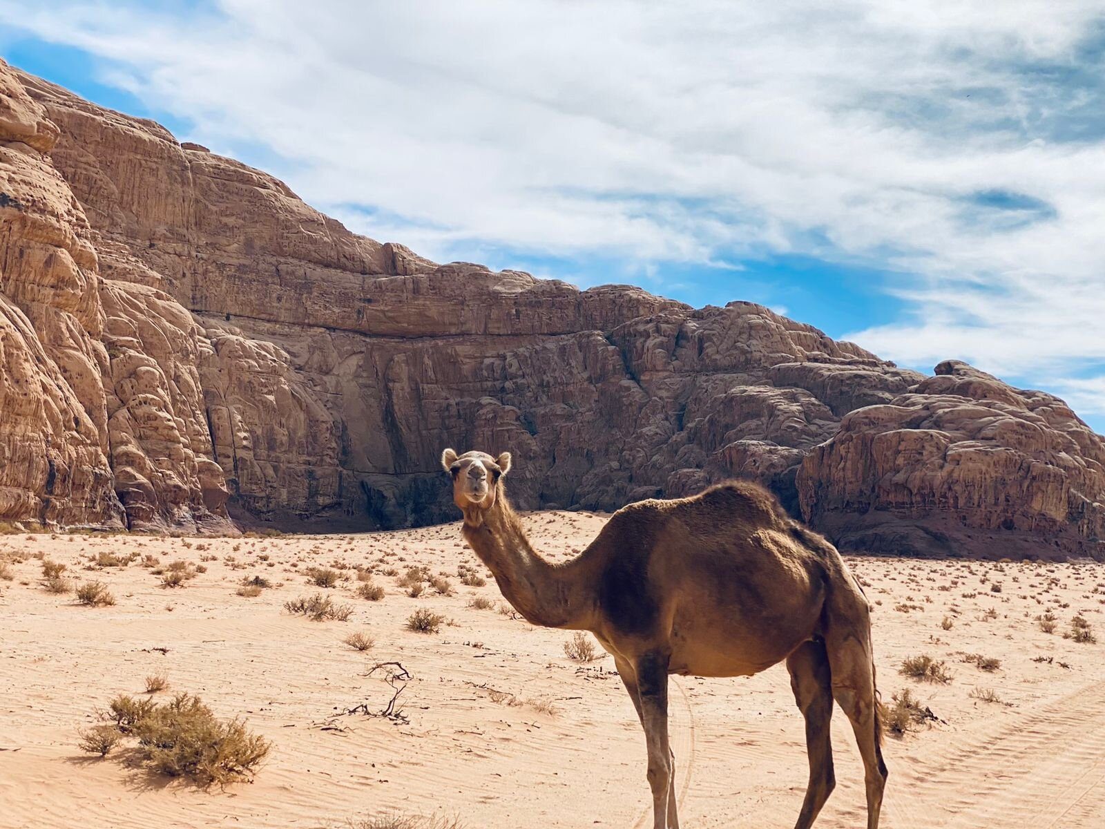 Wadi Rum Bedouin Cave