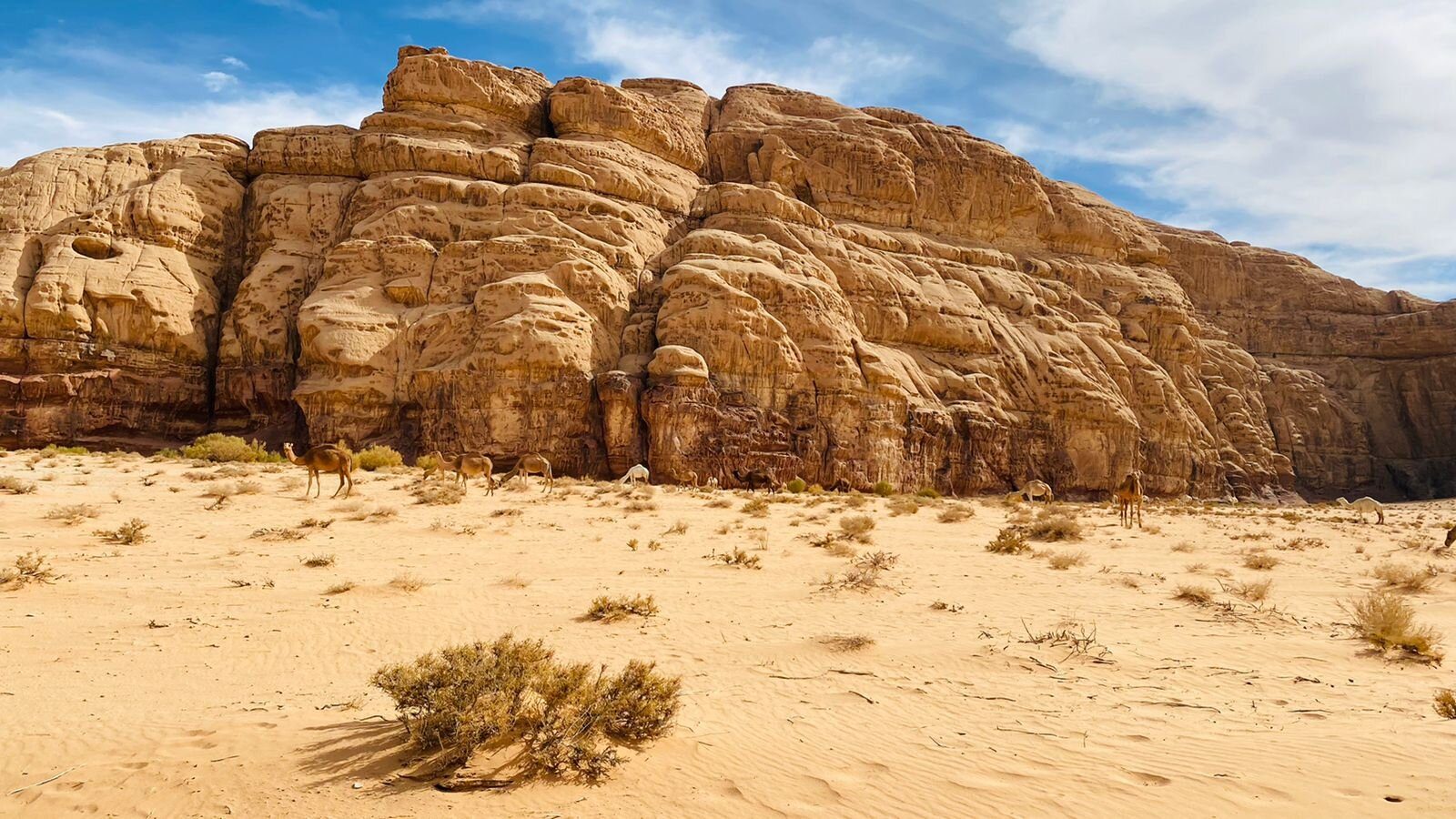 Wadi Rum Bedouin Cave
