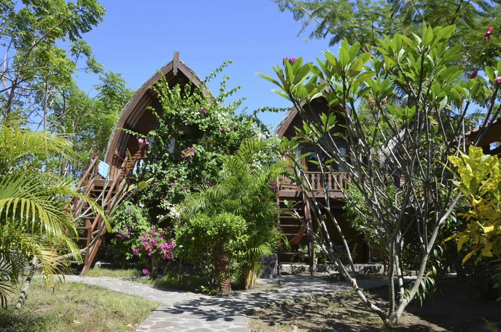 Mango Dive & Bungalow