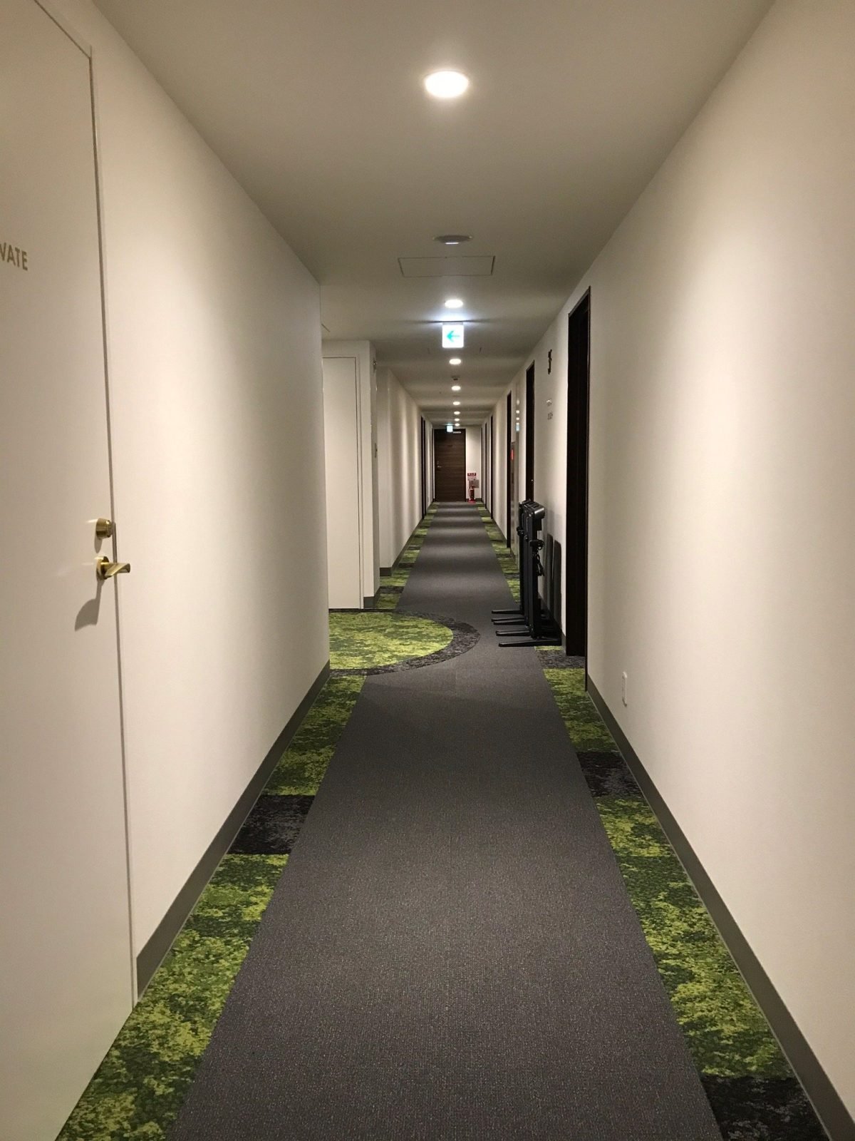 Hotel New Gaea Nishi Kumamoto Ekimae
