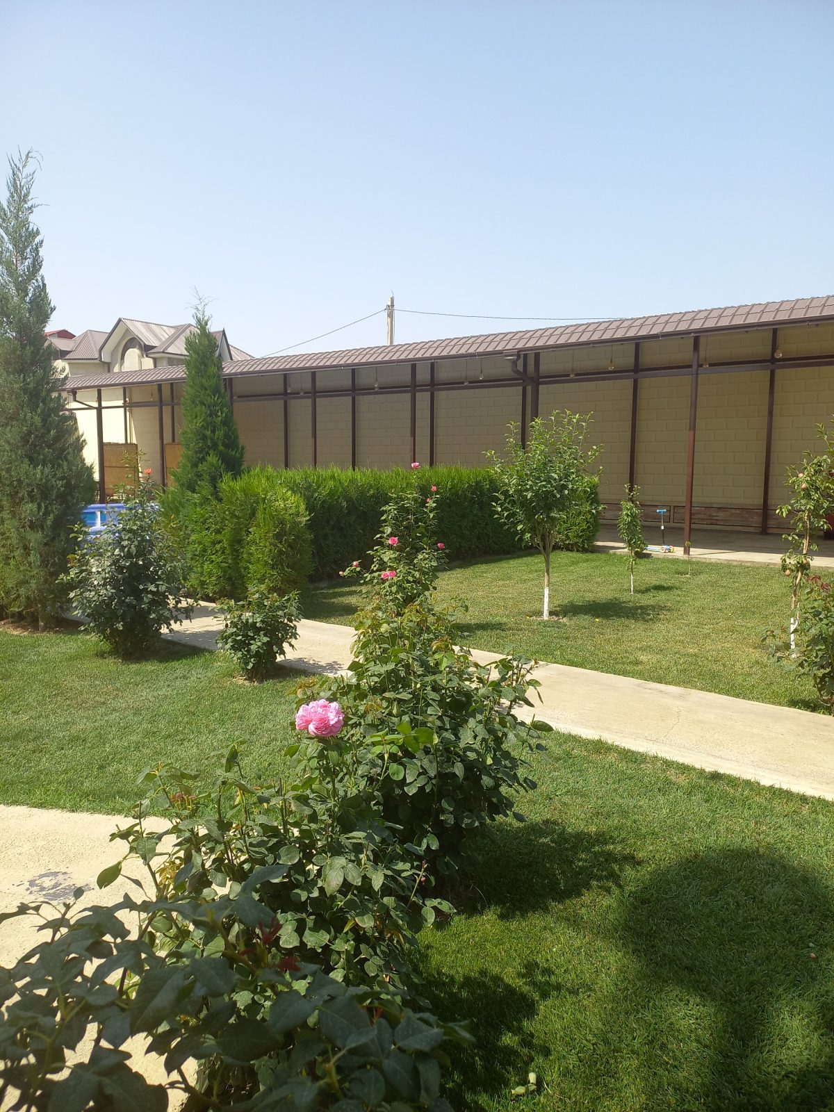 Villa Oasis Hotel Bukhara