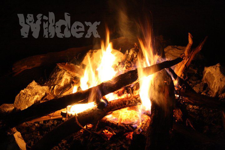 Camp Wildex Rishikesh