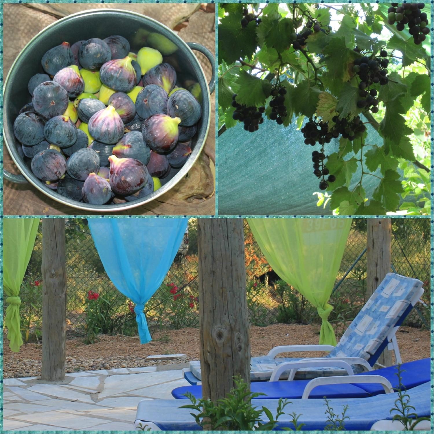 Eco Algarve