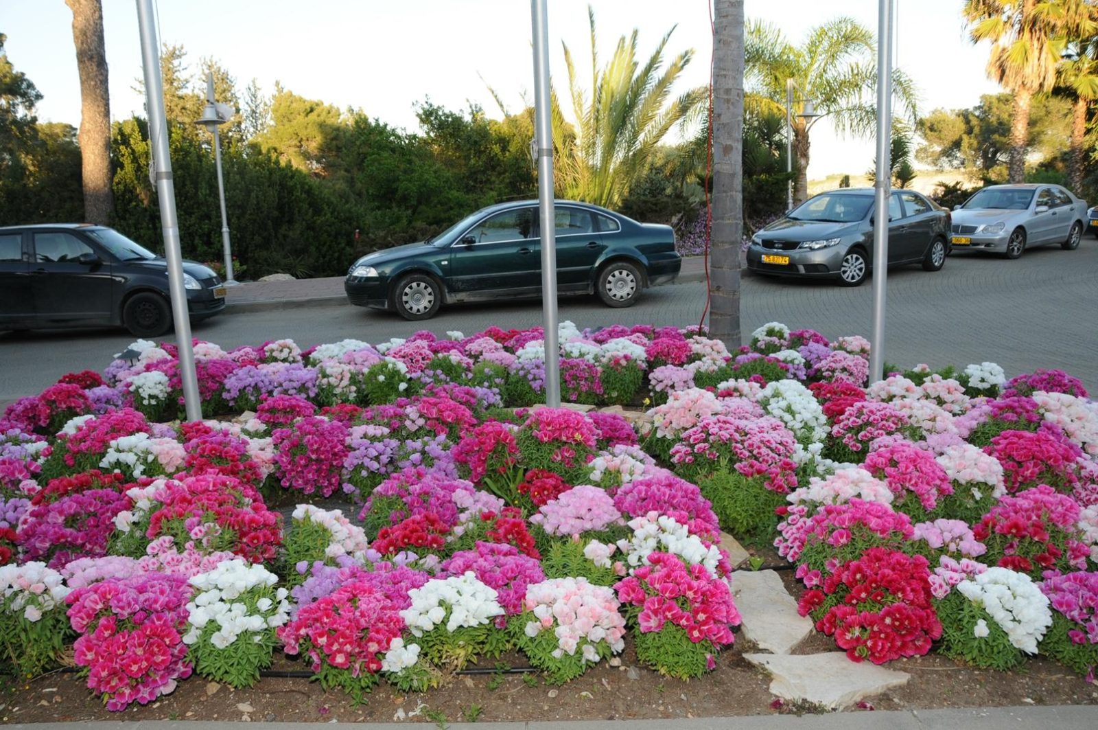 Gardenia Nazareth Hotel