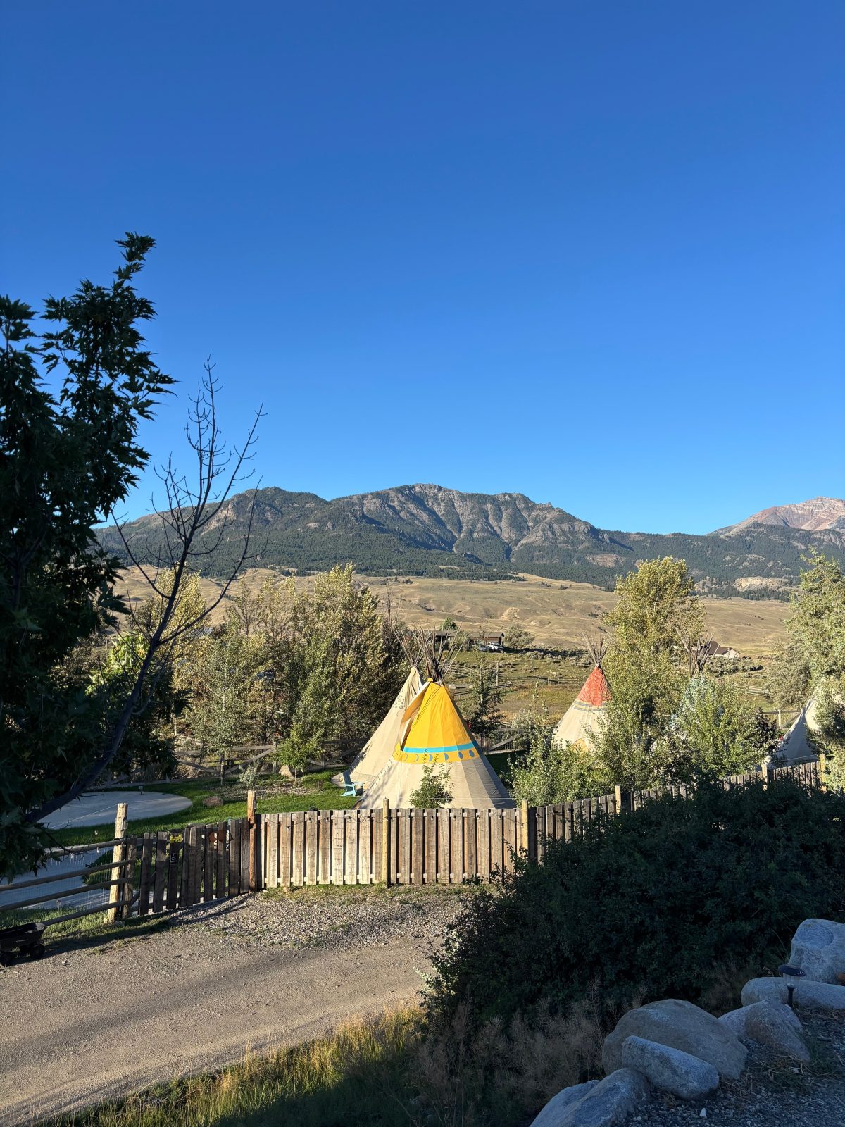 Yellowstone Tipis