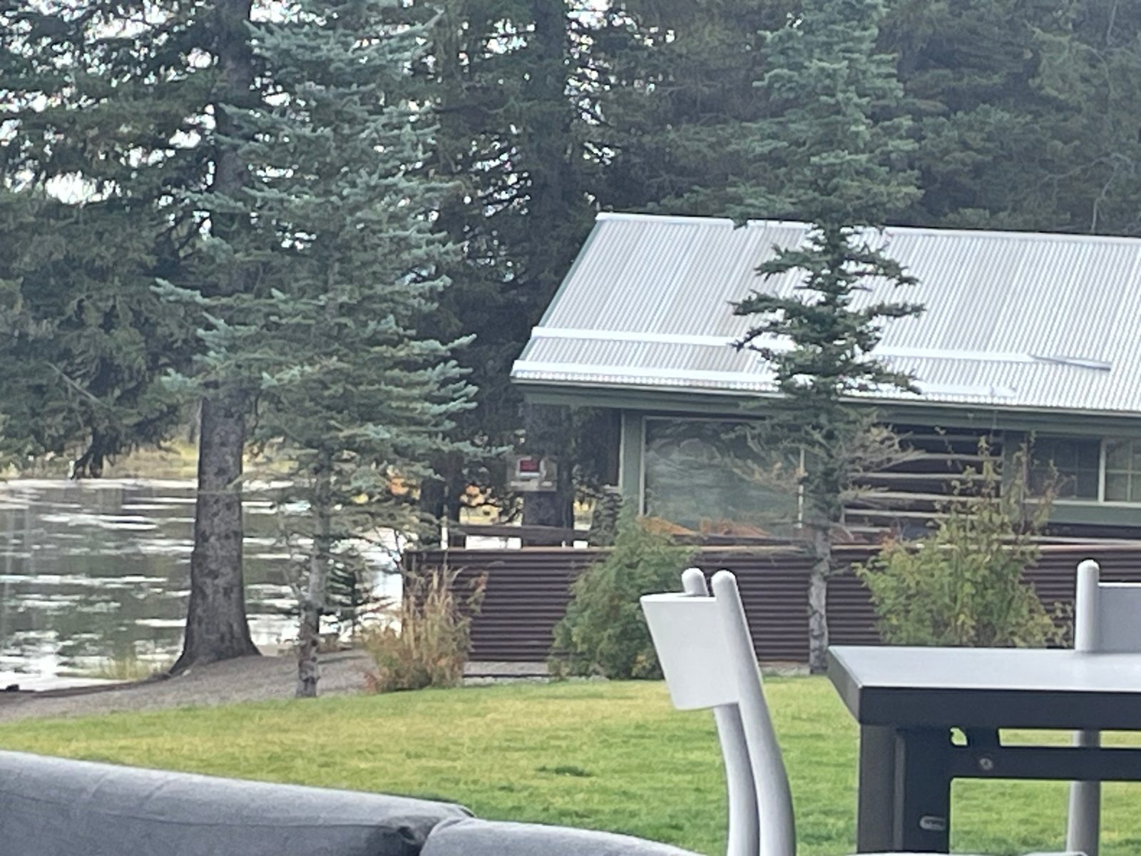 SpringHill Suites by Marriott Island Park Yellowstone