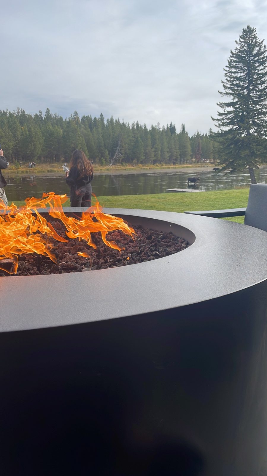 SpringHill Suites by Marriott Island Park Yellowstone