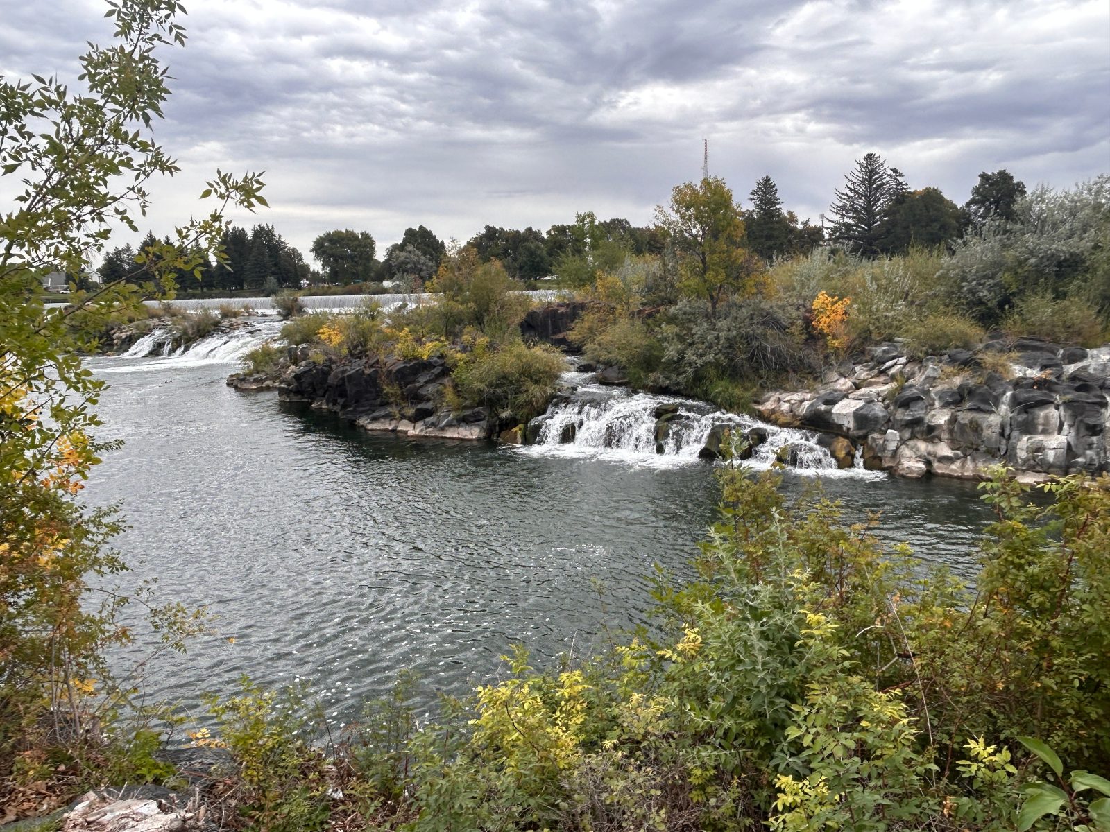 SpringHill Suites by Marriott Island Park Yellowstone