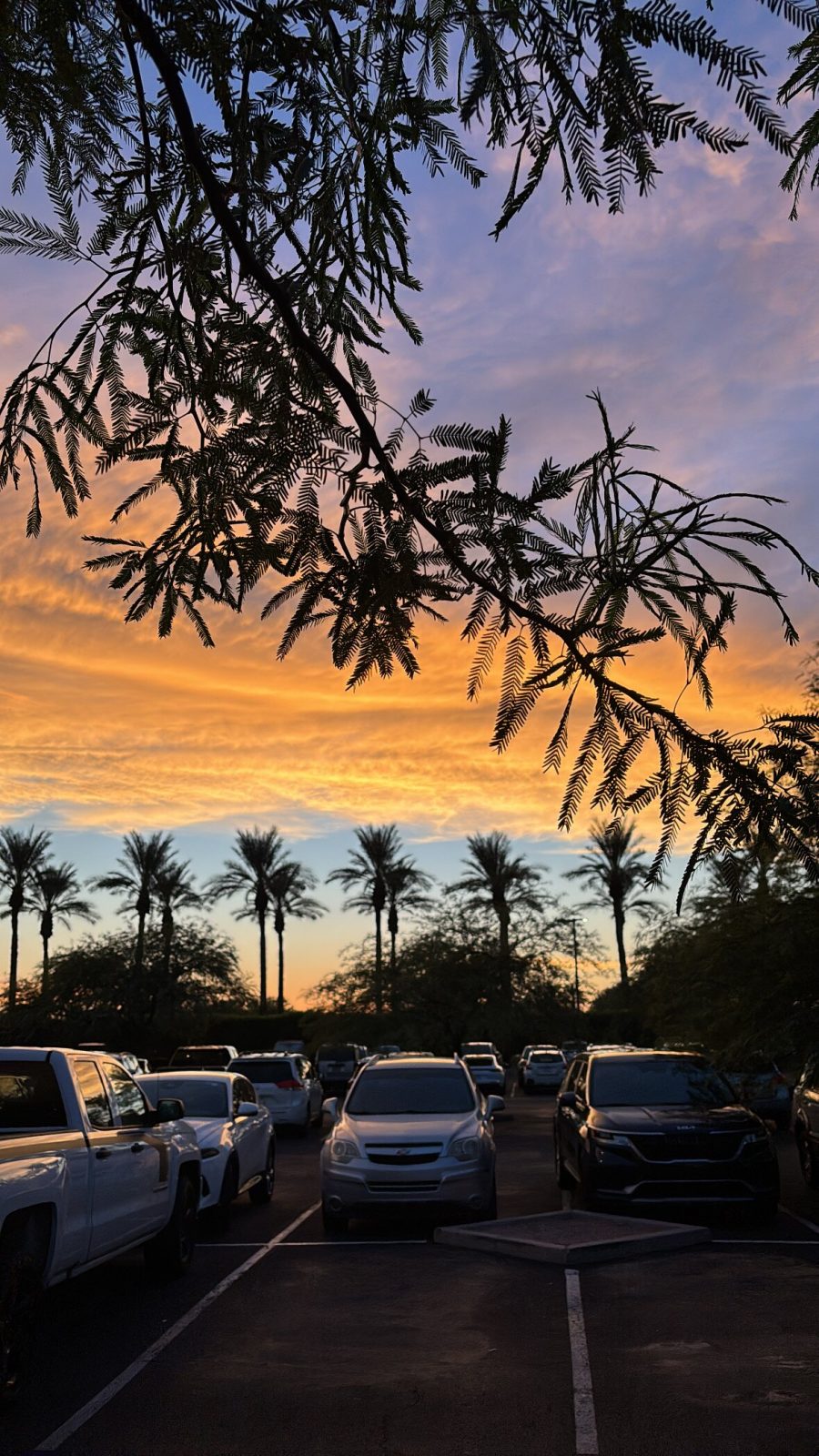 AC Hotel Scottsdale North