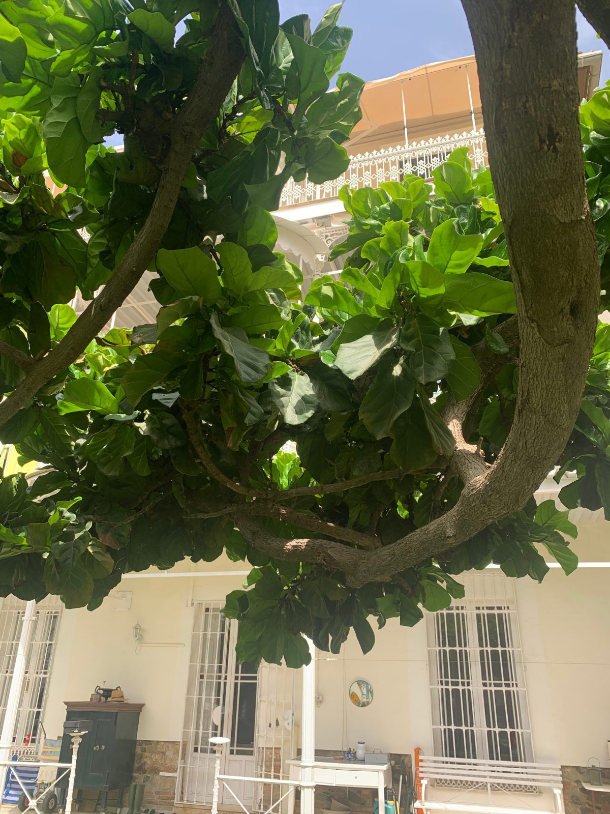Villa Amalia Suites Malaga