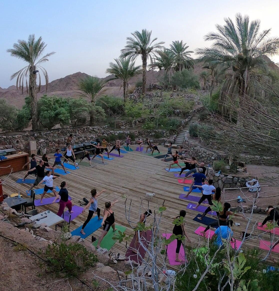 Neot Midbar Eilat