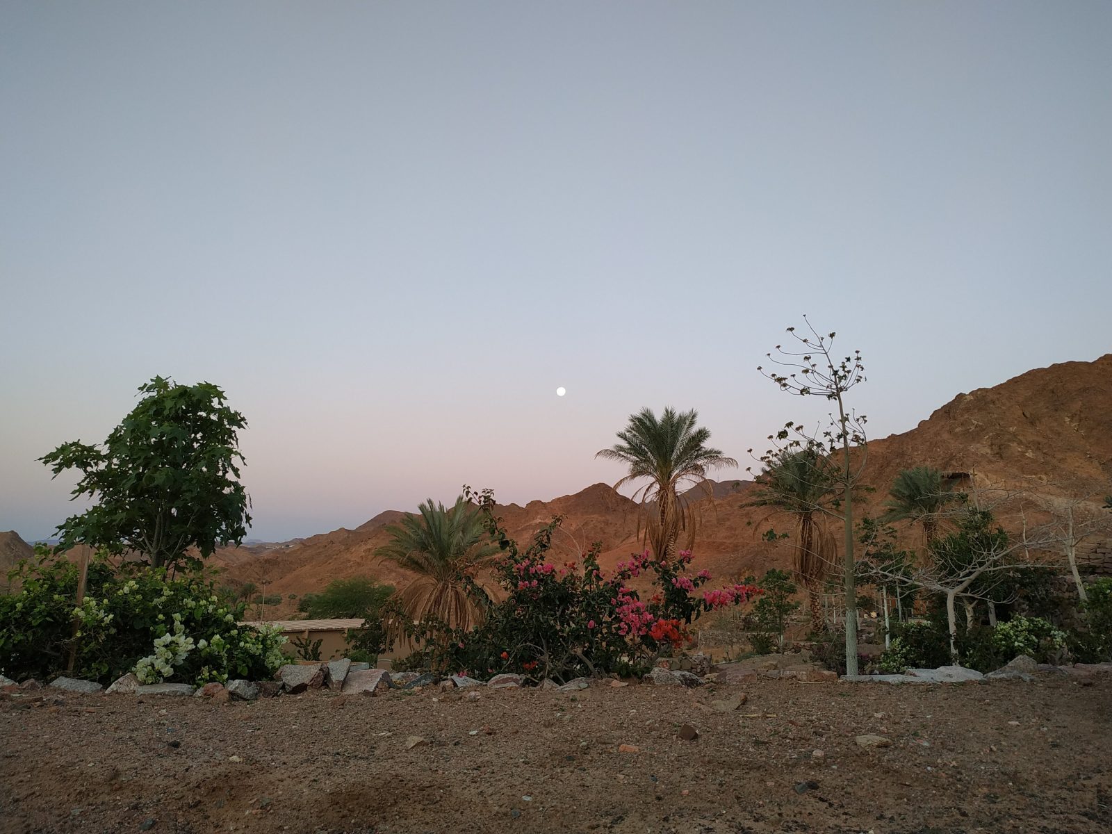 Neot Midbar Eilat