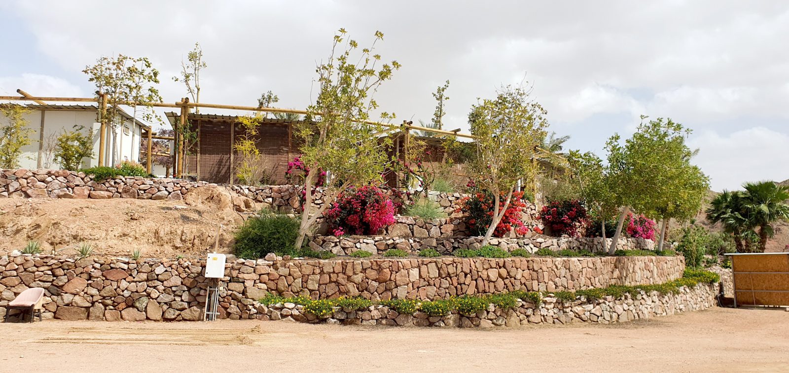 Neot Midbar Eilat