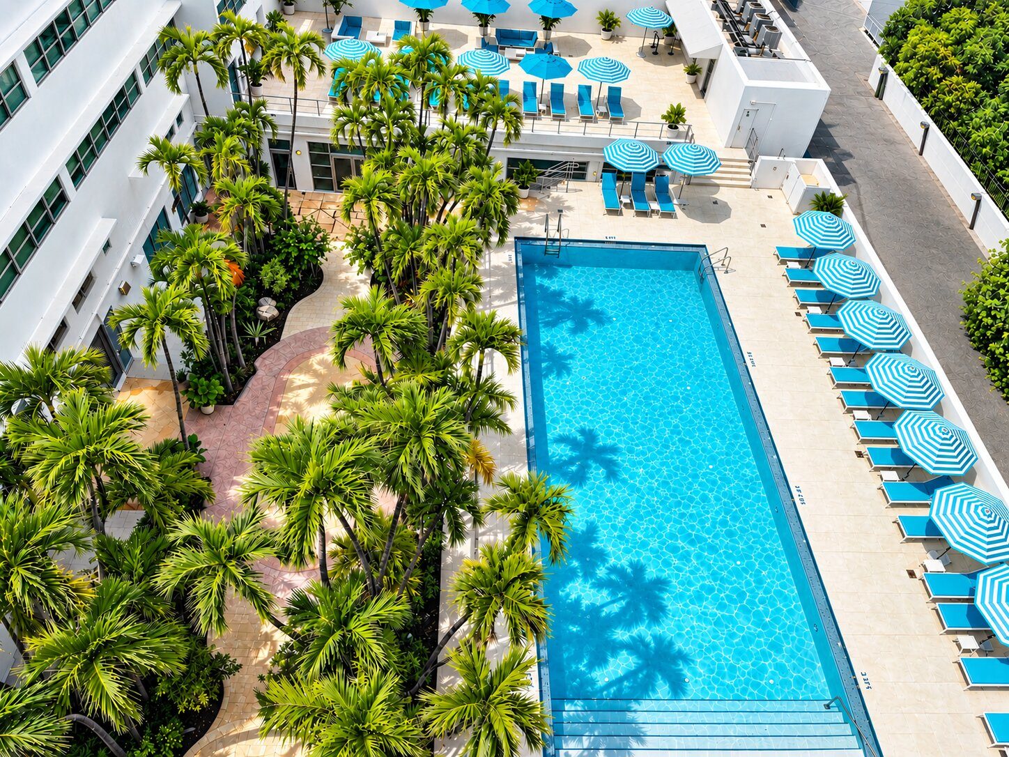 albion hotel miami