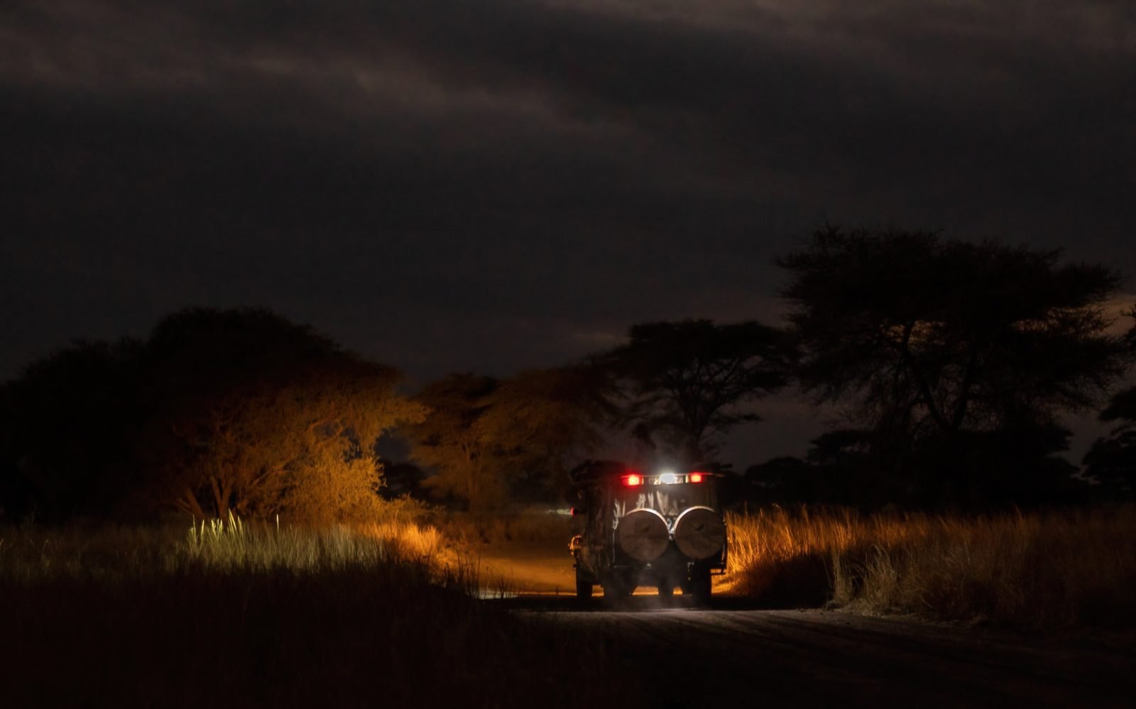 Honeyguide Tarangire Camp