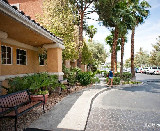 Desert Rose Resort