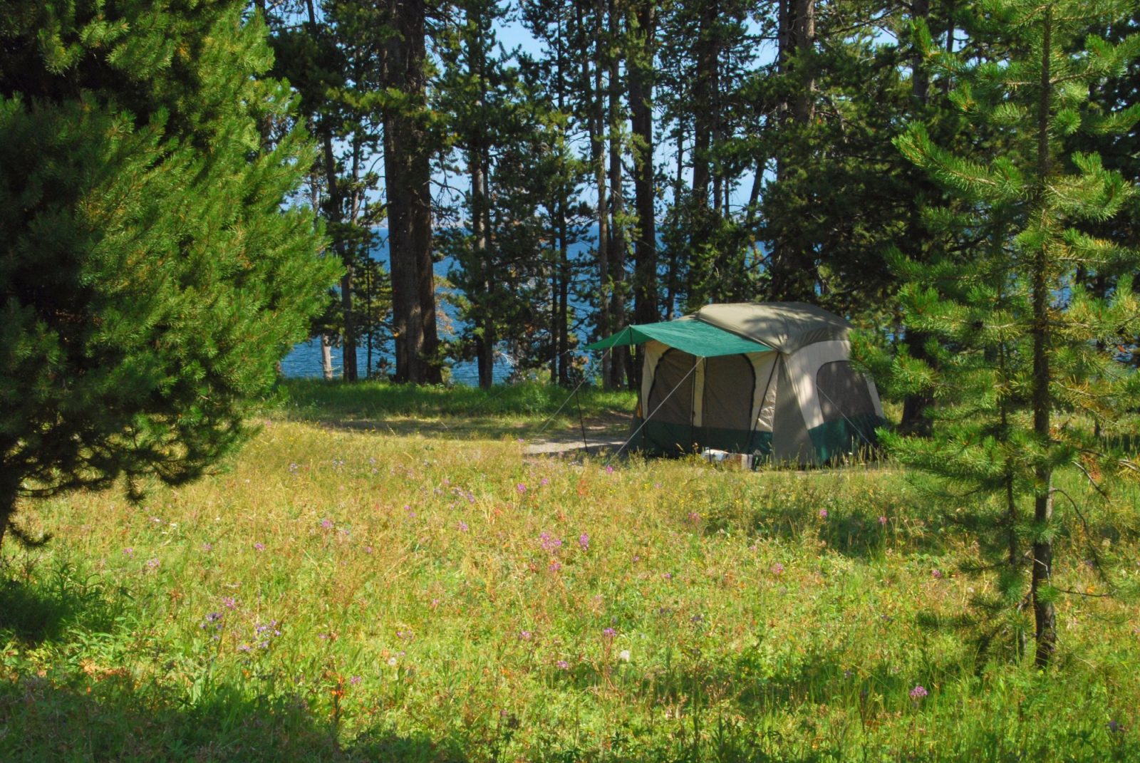 bridge bay campground hotel yellowstone national park
