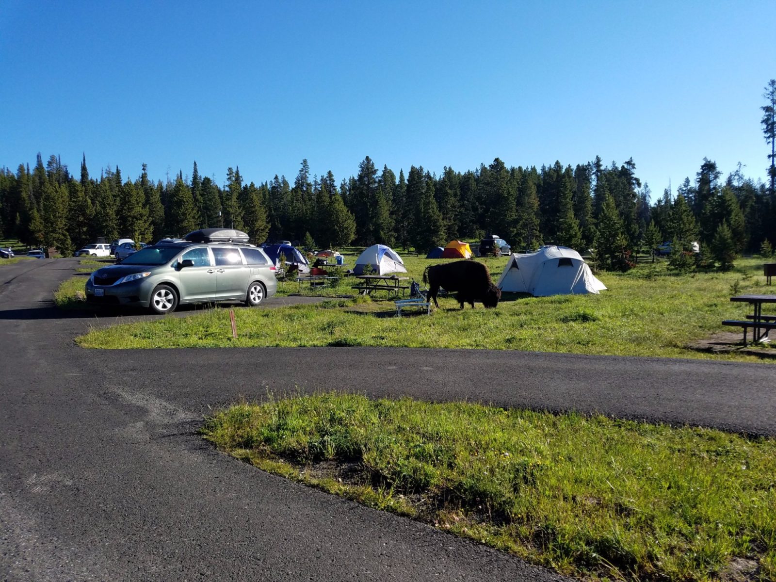 bridge bay campground hotel yellowstone national park