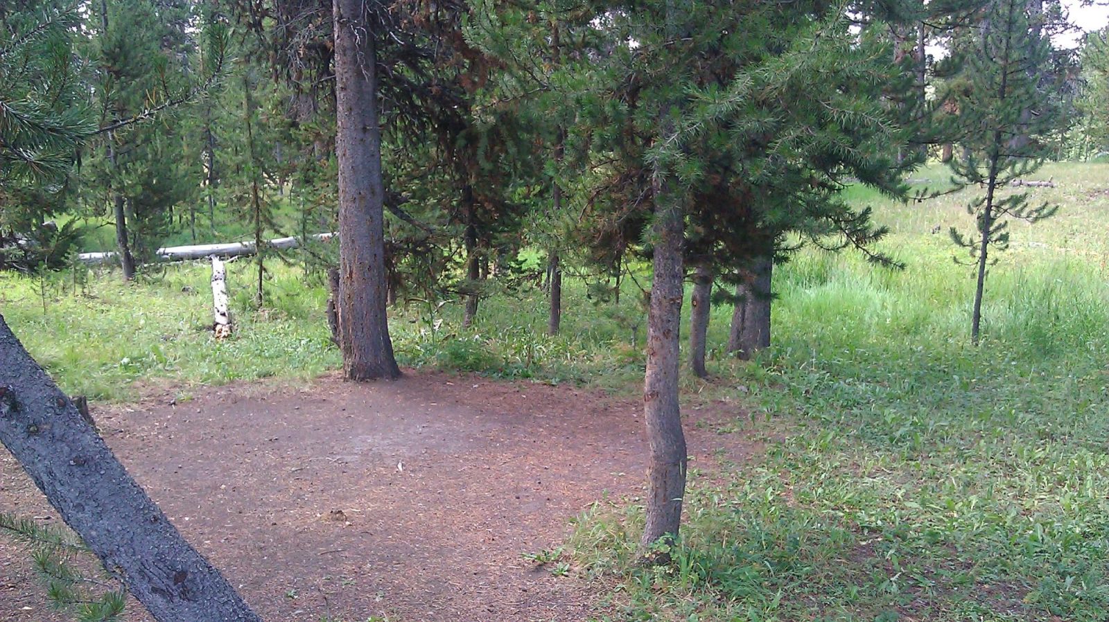 bridge bay campground hotel yellowstone national park