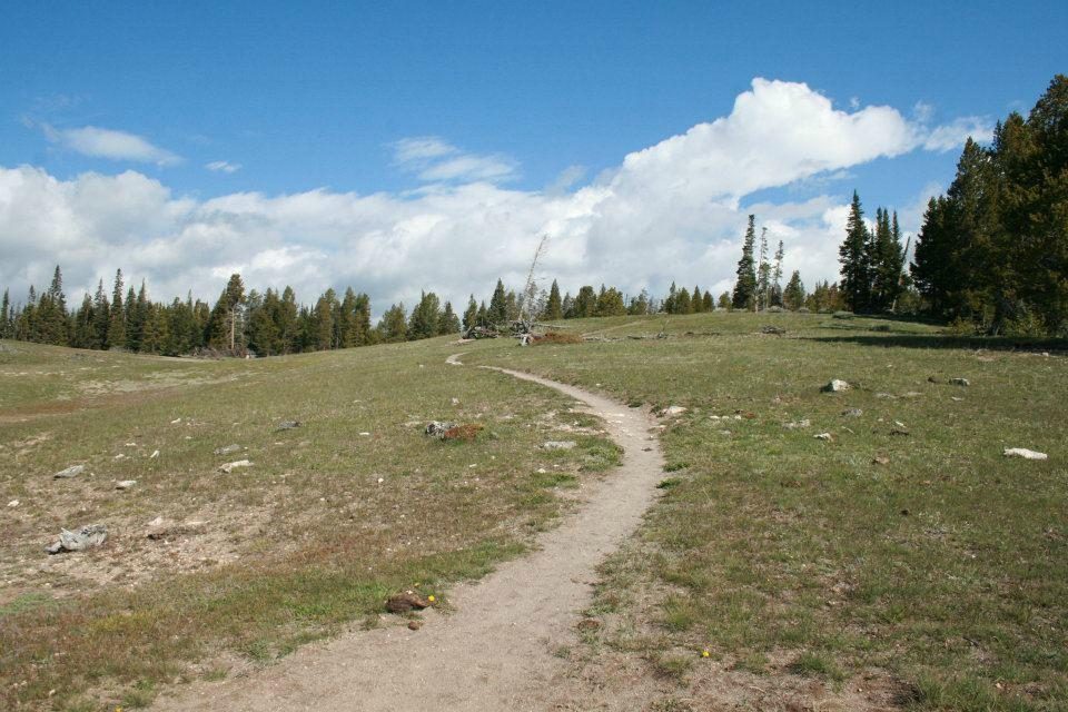 bridge bay campground hotel yellowstone national park