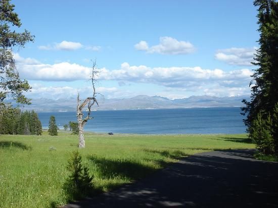 bridge bay campground hotel yellowstone national park