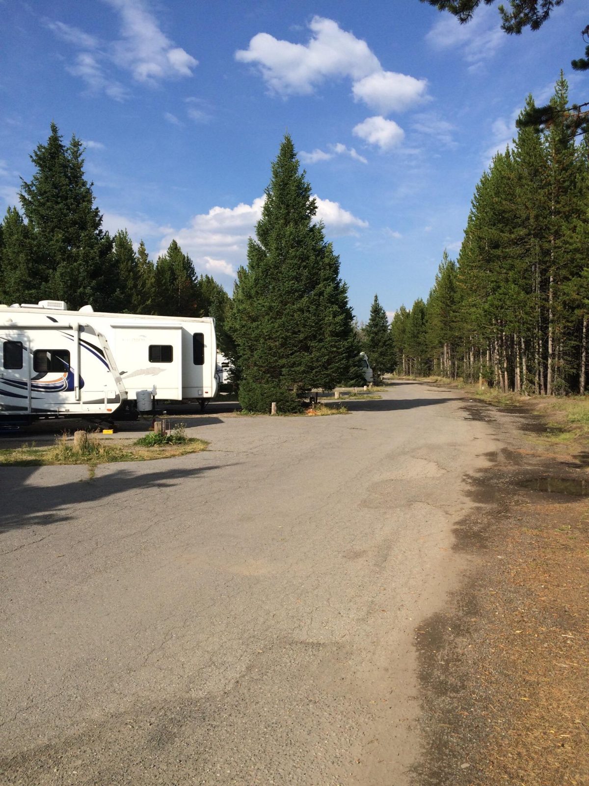 Fishing Bridge RV Park