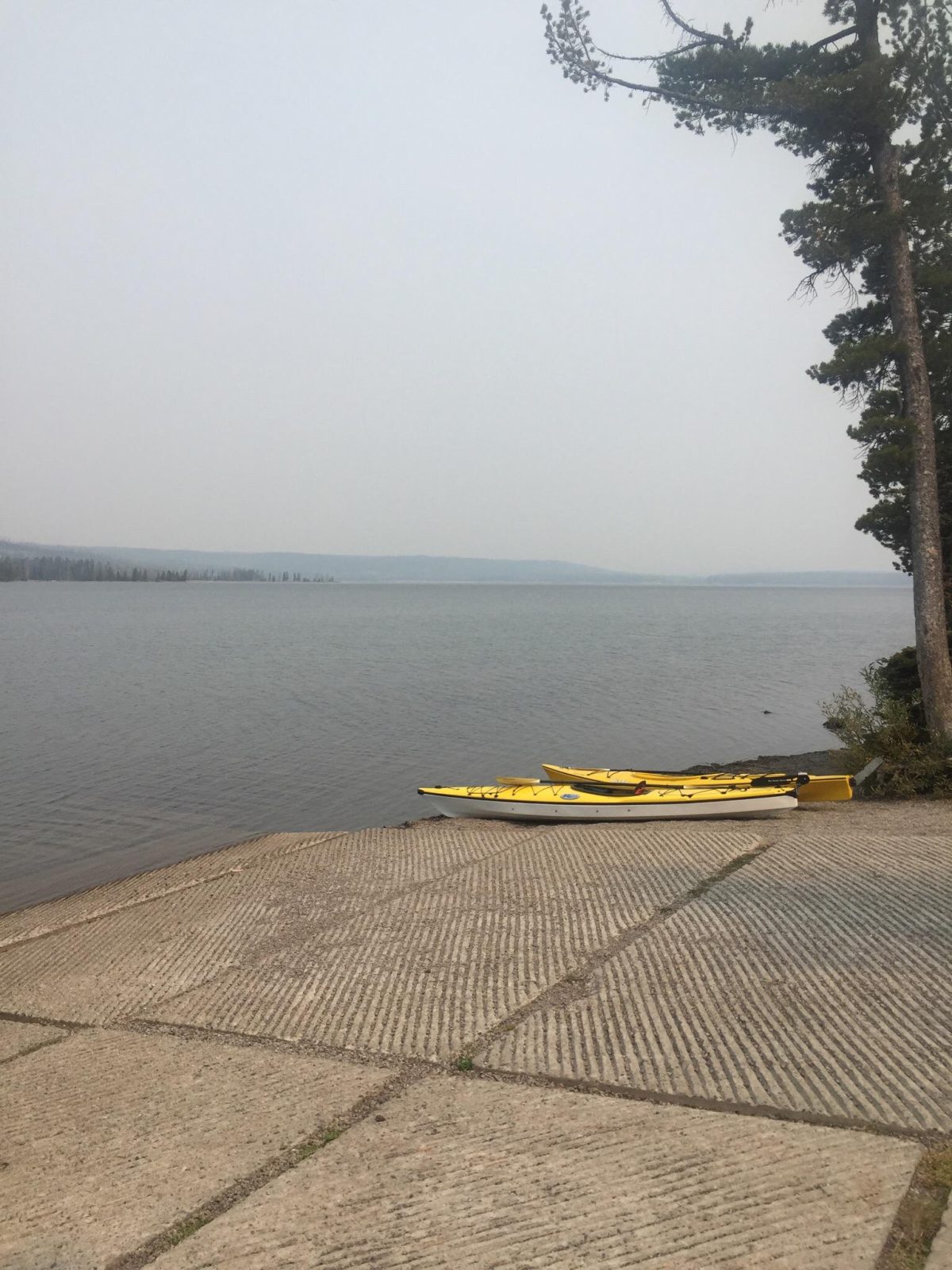 lewis lake campground hotel yellowstone national park