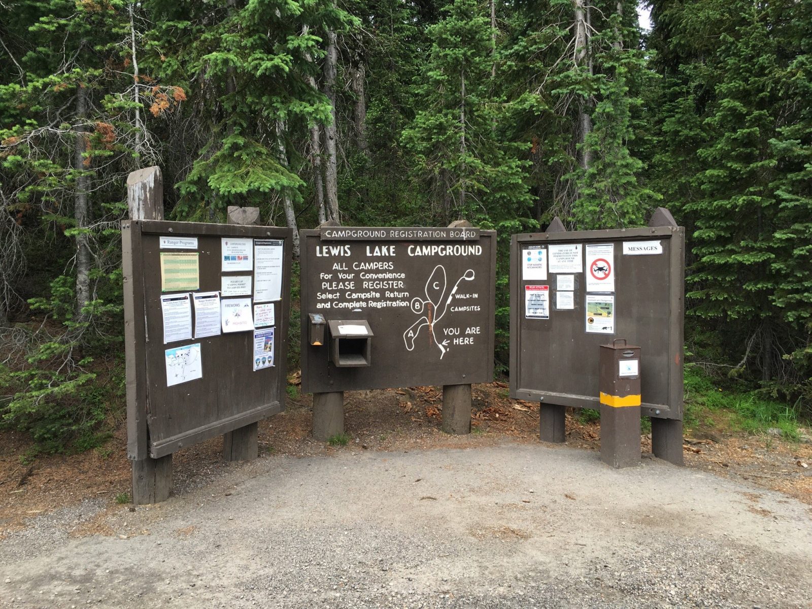 lewis lake campground hotel yellowstone national park
