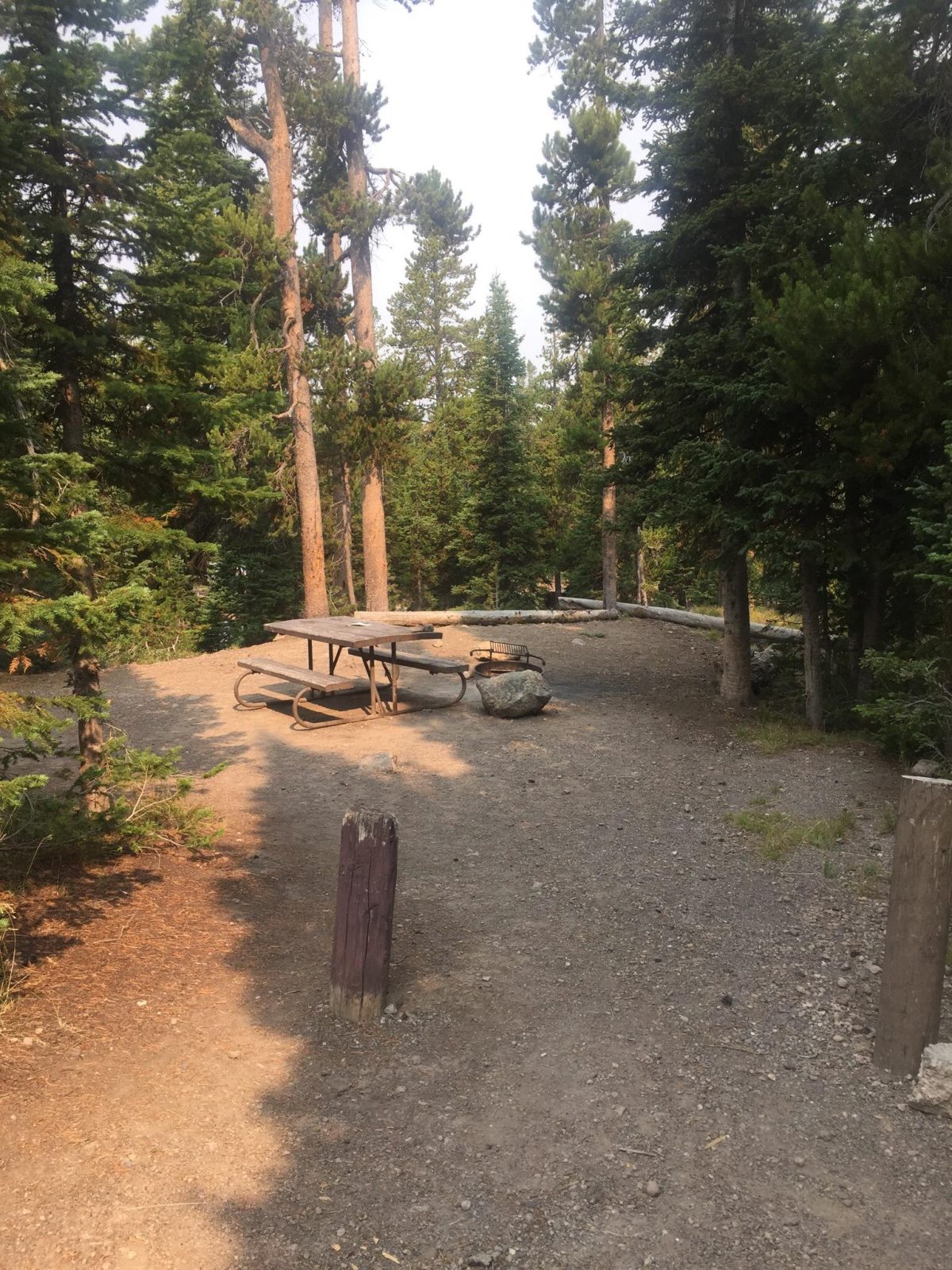 lewis lake campground hotel yellowstone national park