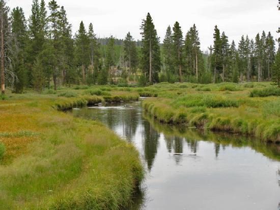 indian creek campground hotel yellowstone national park